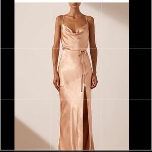 LA LUNE BIAS COWL MAXI DRESS - DESERT ROSE